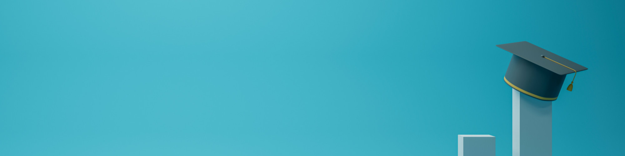 Vidyalive