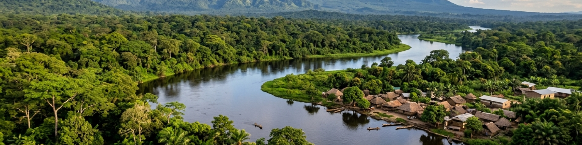 Democratic Republic of the Congo eVisa