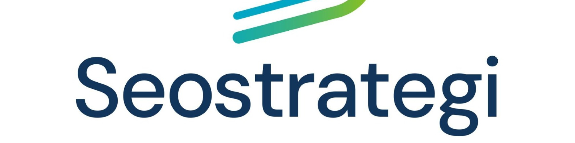 Seo Strategi
