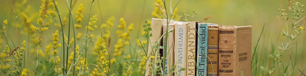 Write My Assignment Help cover image